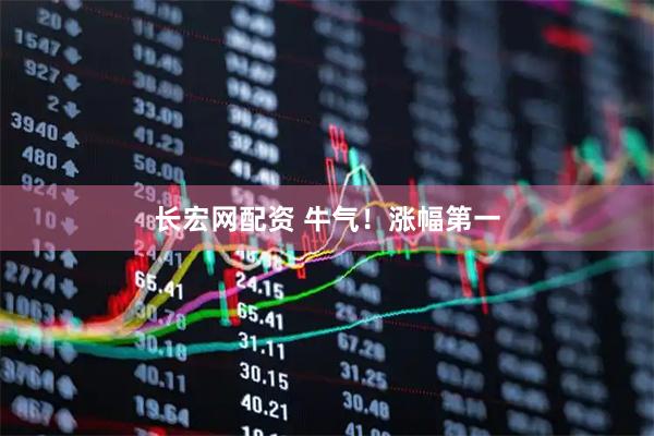长宏网配资 牛气！涨幅第一