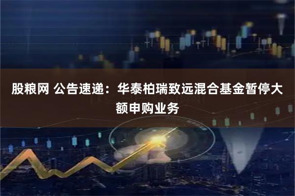股粮网 公告速递：华泰柏瑞致远混合基金暂停大额申购业务