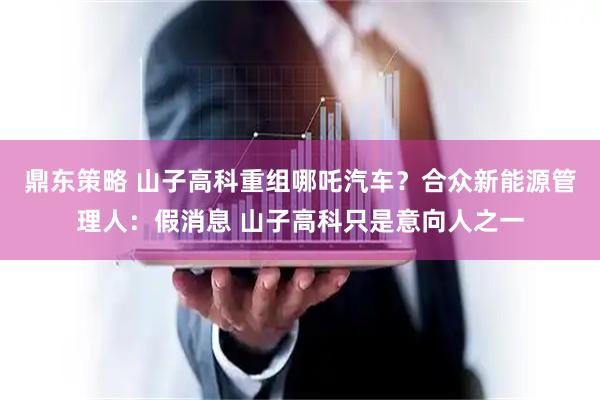 鼎东策略 山子高科重组哪吒汽车？合众新能源管理人：假消息 山子高科只是意向人之一